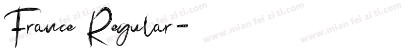 France Regular字体转换